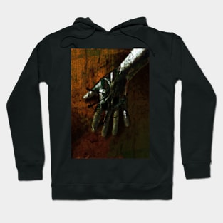 Digital collage, special processing. Hand, mystic. Ugly grainy texture on close up, so beautiful on distance. Hoodie